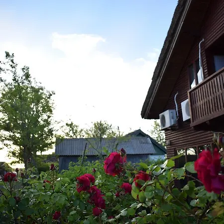 Casa Din Vis *