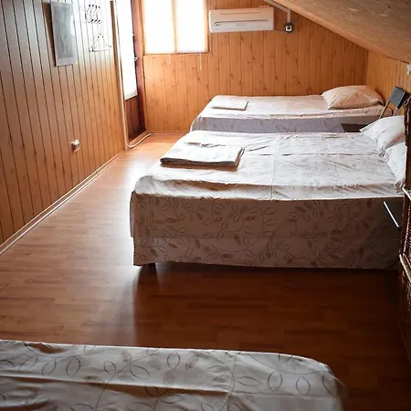 Casa Din Vis Pensionat *
